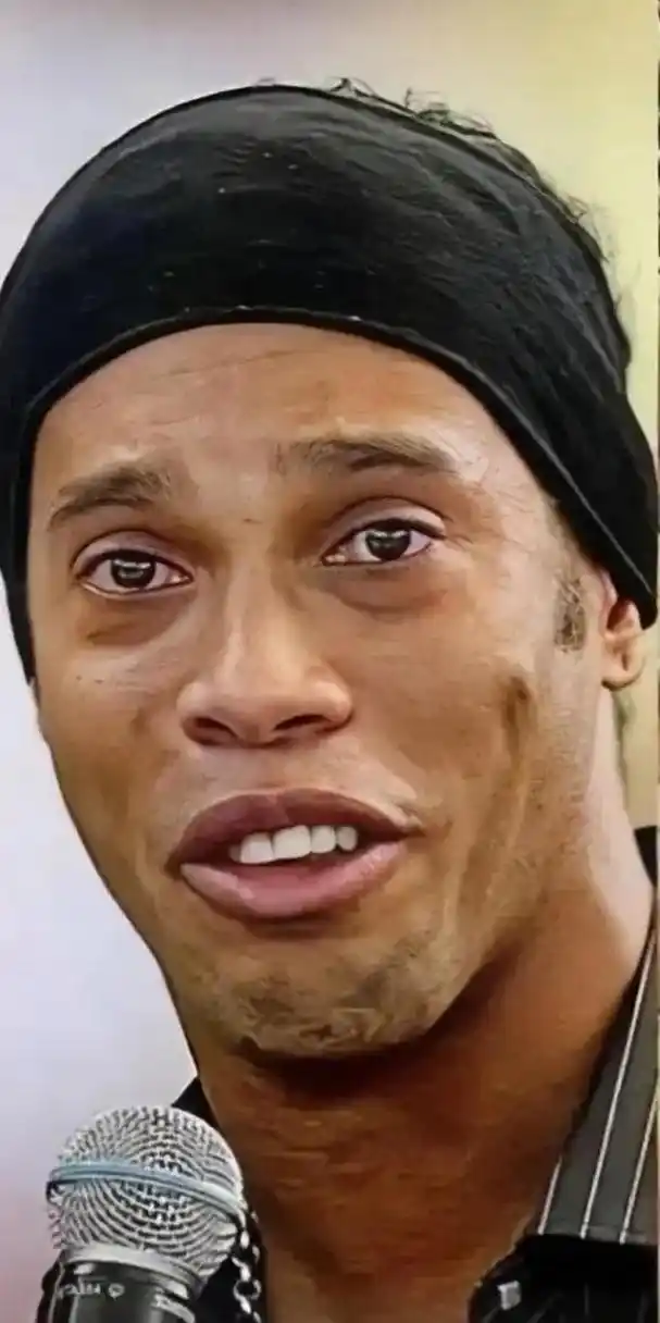的内容